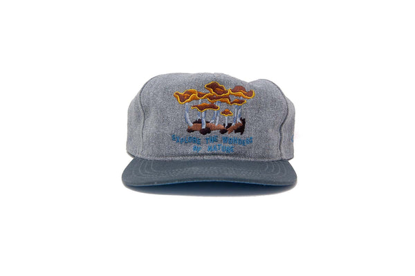 EXPLORE WONDERS II - Strapback – The Ampal Creative