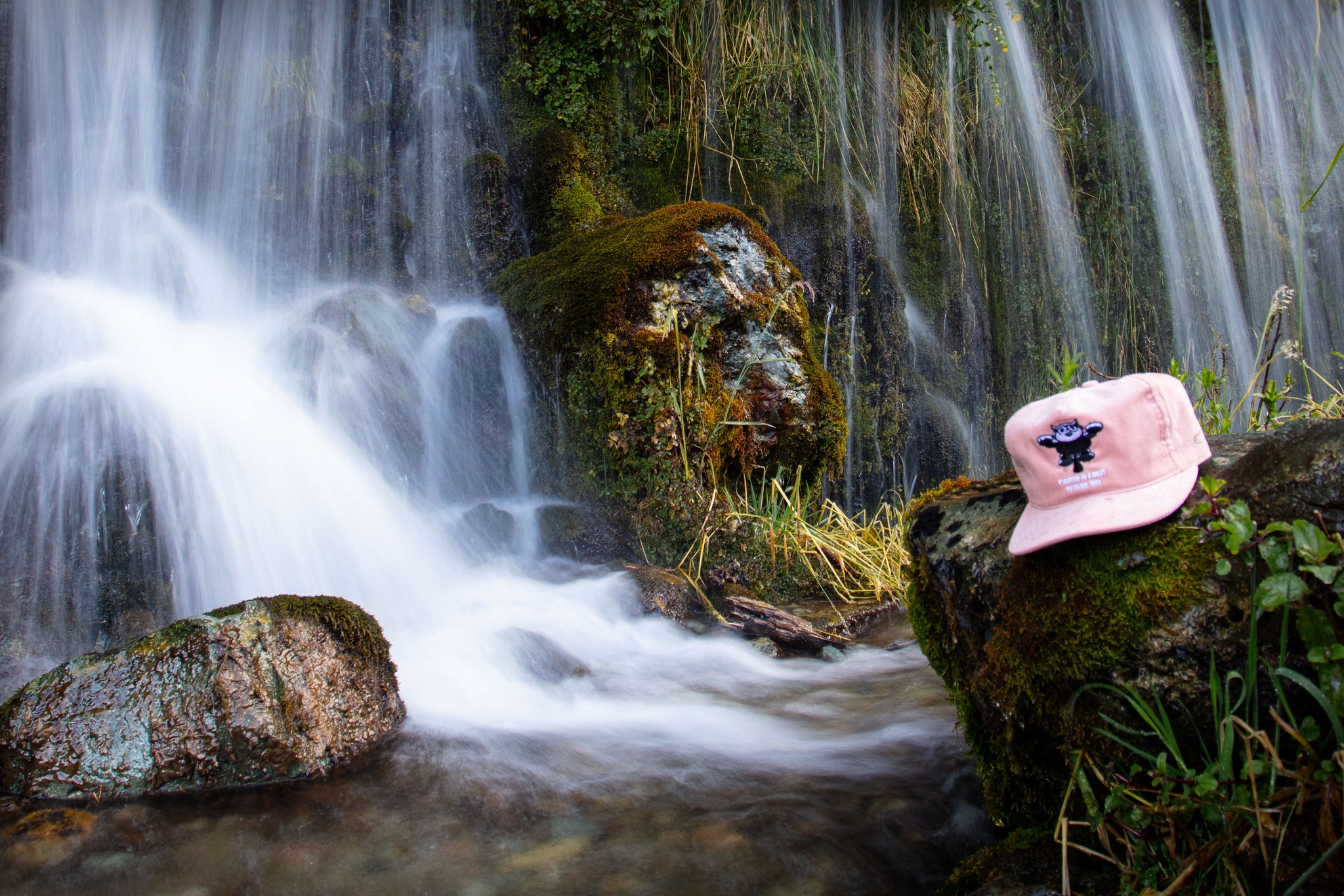 FLOATING CORD - Snapback