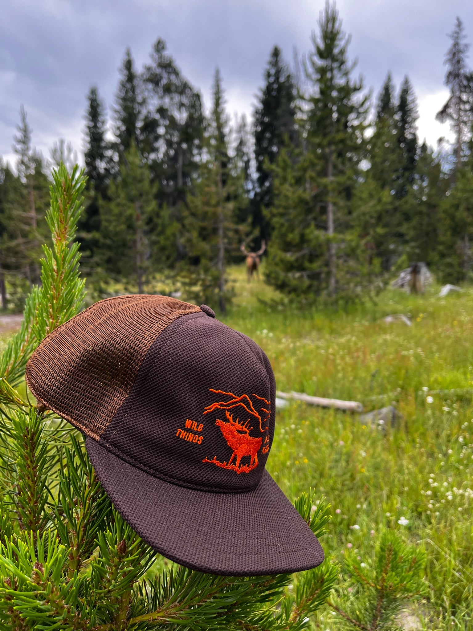 WILD PLACES - Trucker - Brown