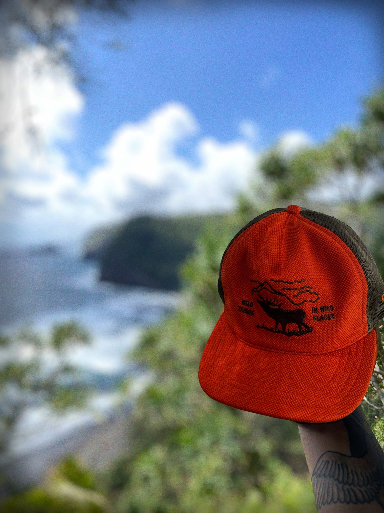 WILD PLACES - Trucker - Orange