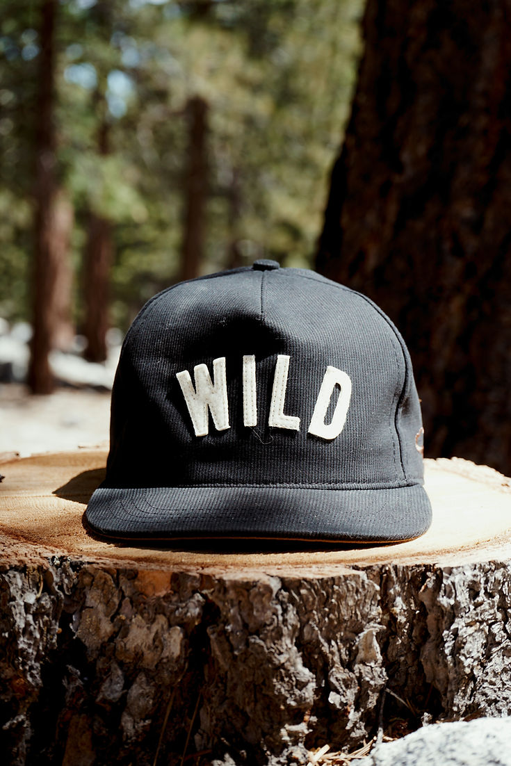 Ampal x WILD CANE "WILD" Strapback